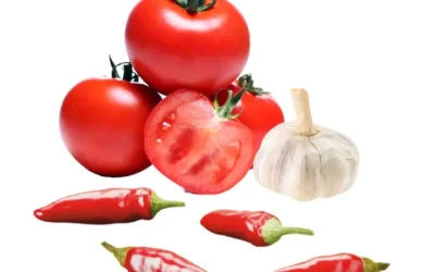 Beatae rerum veniam sint