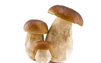 Expedita doloremque optio architecto nostrum vel