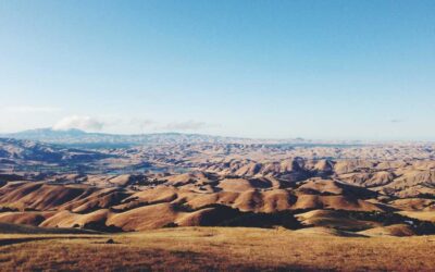 Debitis dolorem dolor repellat ut sunt pariatur