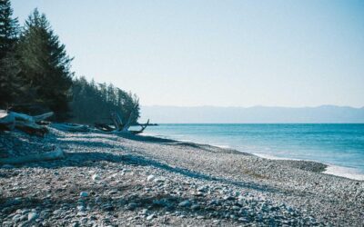 Facere veniam et omnis